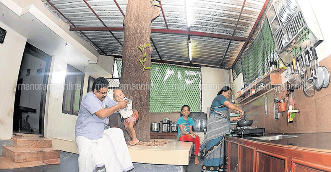 A tree right at the centre of the kitchen!