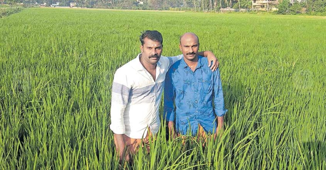 These Thrissur siblings can turn barren land into agricultural fields