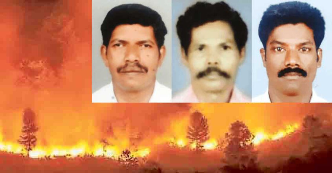 3 forest watchers killed while battling wildfire in Thrissur