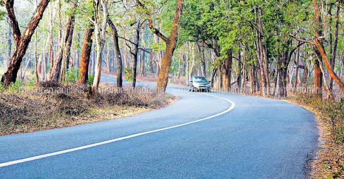 Wayanad travel ban: Action panel miffed as centre favours alternate route Wayanad travel ban: Action panel miffed as centre favours alternate route