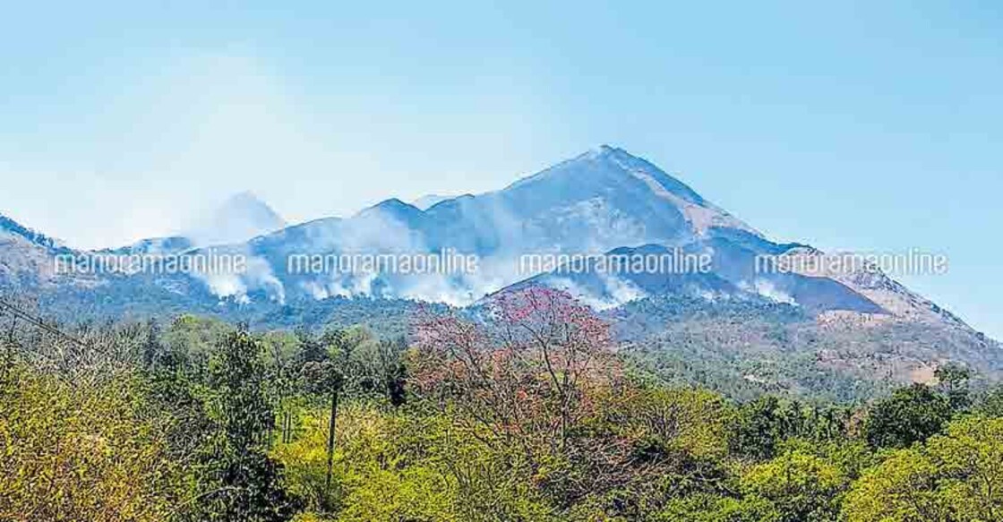 Wildfires destroy vast swathes of vegetation in Banasura Hills