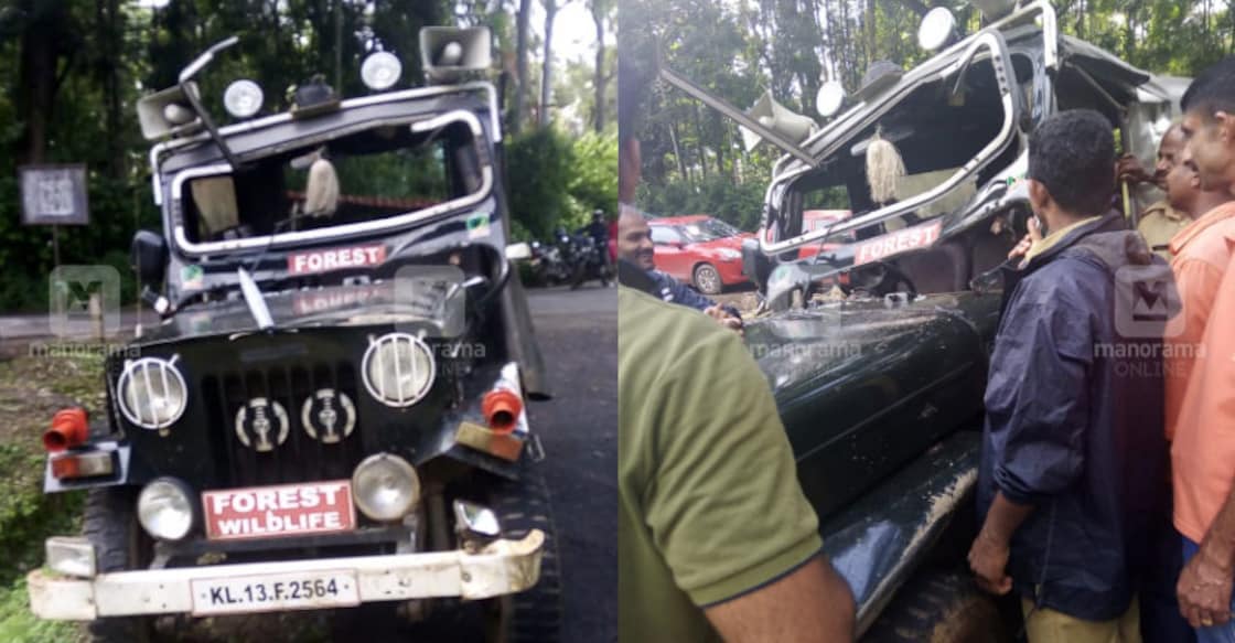 Wildlife guards injured in elephant attack 