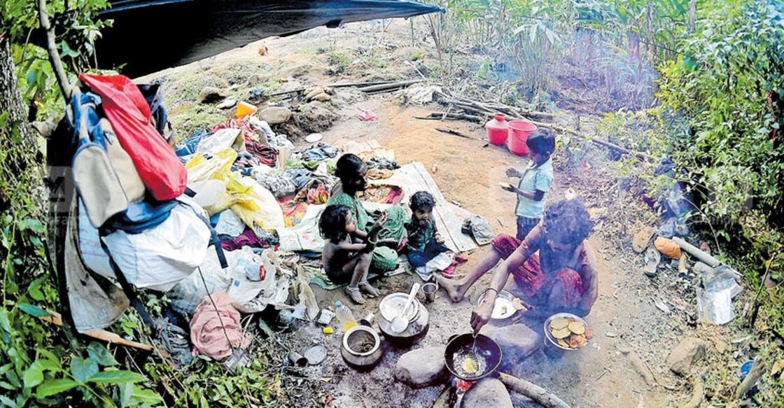 Two homeless tribal families brave the wild in Wayanad