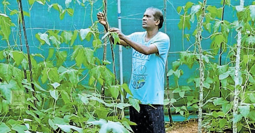 Free hours aplenty, Mananthavady MLA Kelu takes up mixed farming Free hours aplenty, Mananthavady MLA Kelu takes up mixed farming