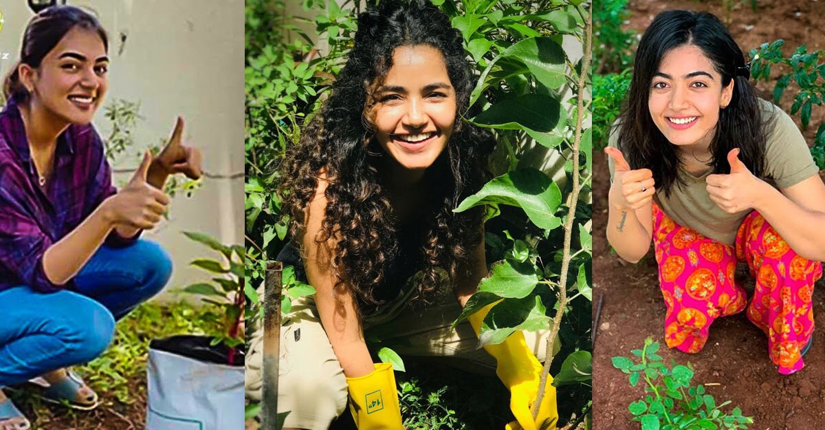 green-challenge-celebs green-challenge-celebs