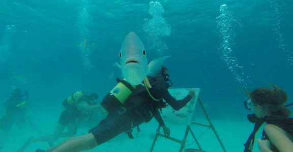 Cuban artist sketches under the sea among fish and coral reefs Cuban artist sketches under the sea among fish and coral reefs