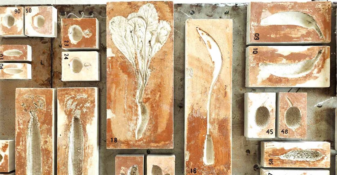 A work by Prasanta Sahu on display as part of his show titled Anatomy of a Vegetable. Photo: Special arrangement