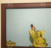 Mammootty's rare click of Indian bulbul to be auctioned on June 30; bid to begin at Rs 1 lakh