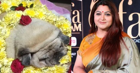 Kushboo mourns death of pet dog on social media