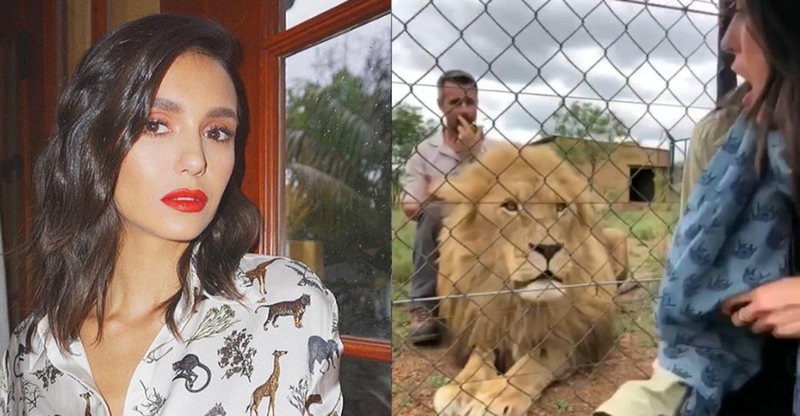 Actress Nina Dobrev almost killed by lion during safari