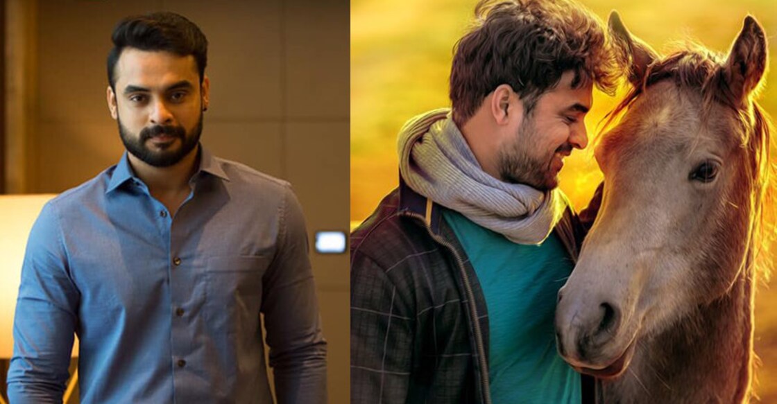 tovino-thomas