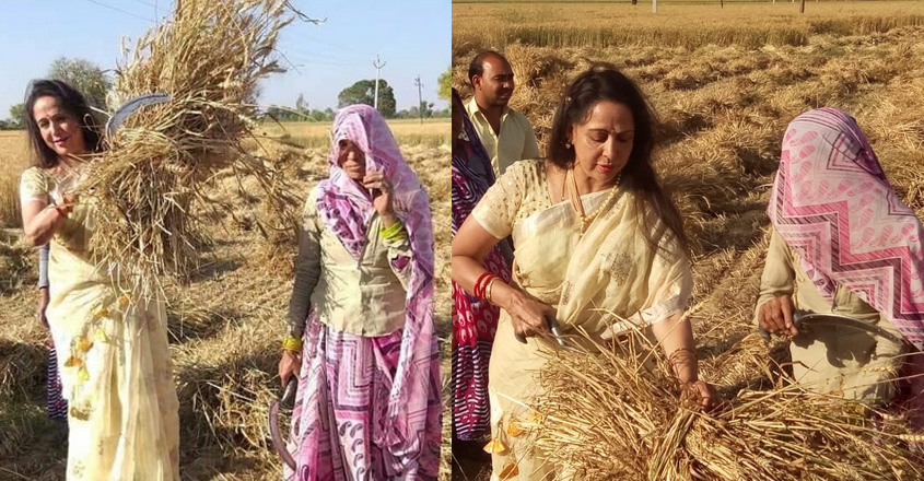 hema-malini-troll