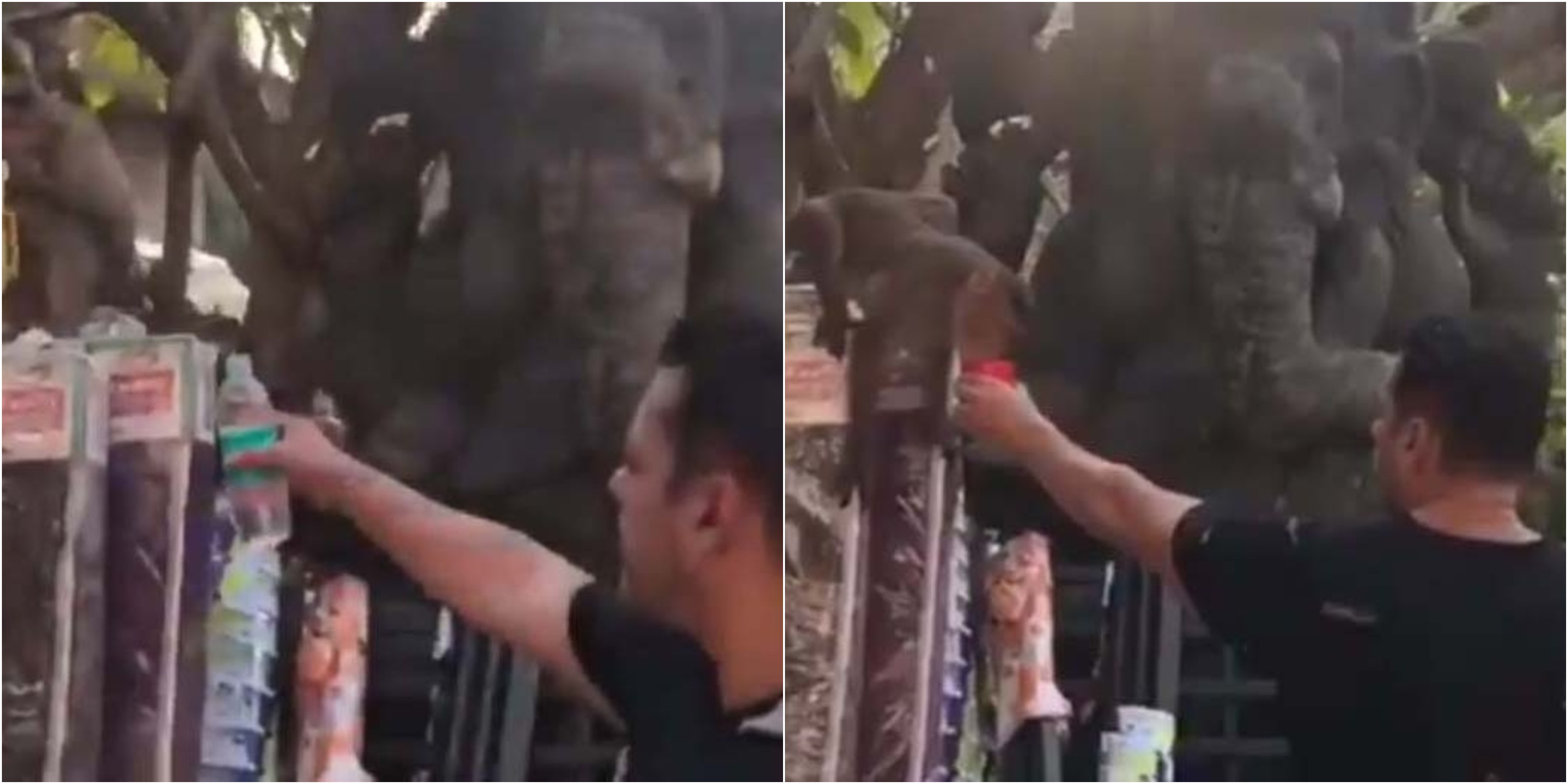 Watch what happened when Salman Khan offered water to a monkey | Video Watch what happened when Salman Khan offered water to a monkey | Video