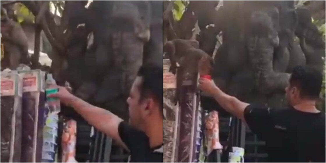 Watch what happened when Salman Khan offered water to a monkey  | Video