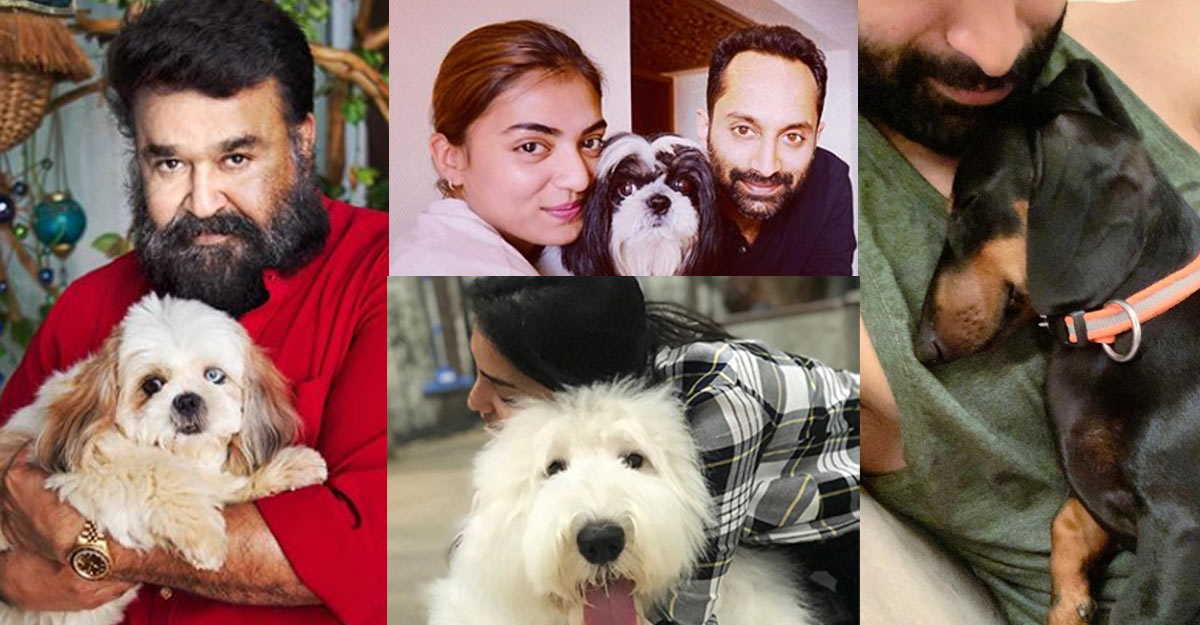malayalam-celebs-pets-pics malayalam-celebs-pets-pics