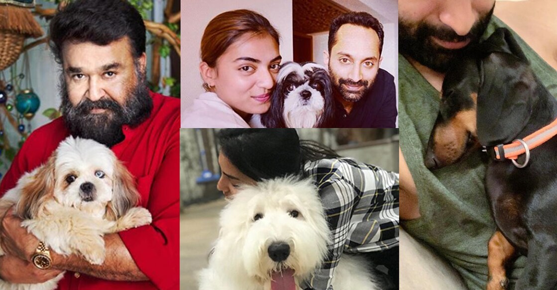 malayalam-celebs-pets-pics