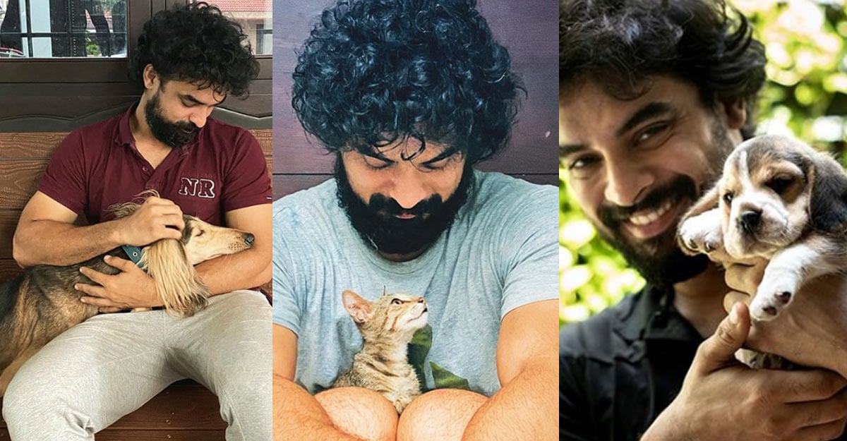 tovino-pets tovino-pets