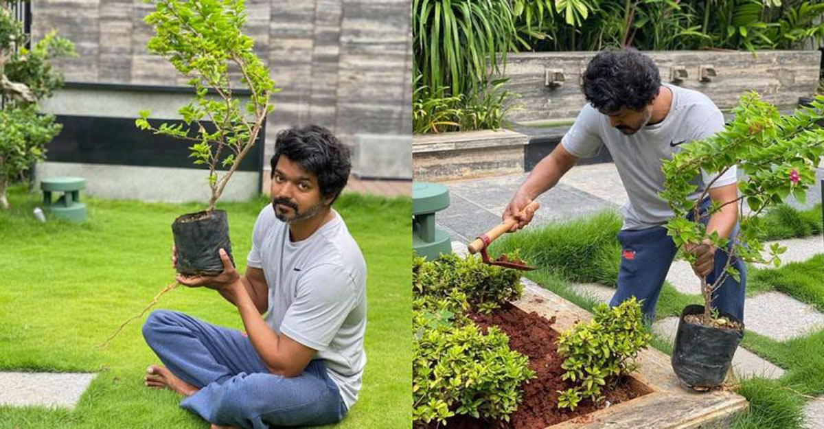 vijay-green-challenge