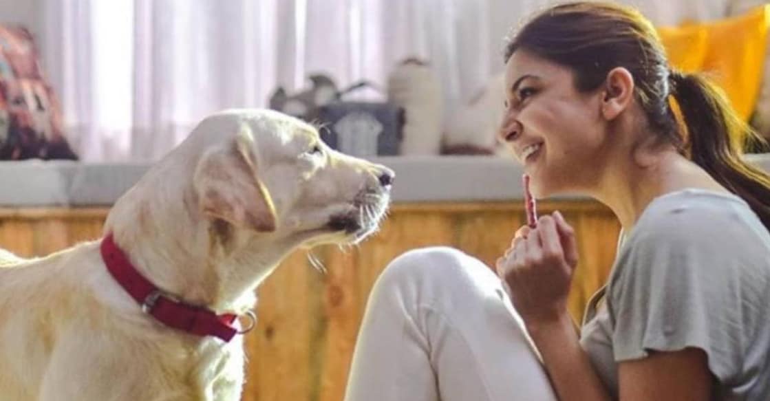 anushka-with-pet anushka-with-pet