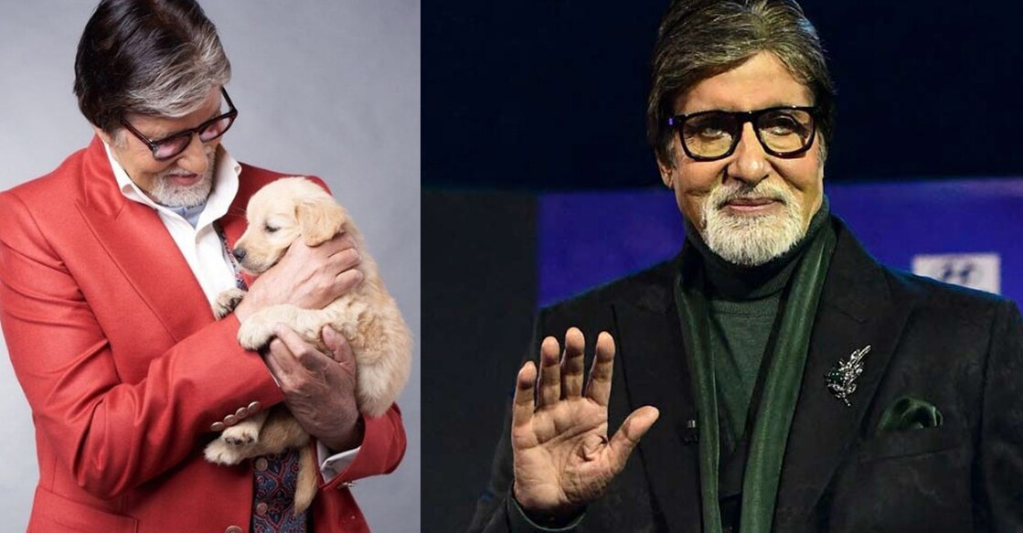Amitabh wrote that his little friend grew up and left them. Photo: Instagram | Amitabh Bachchan