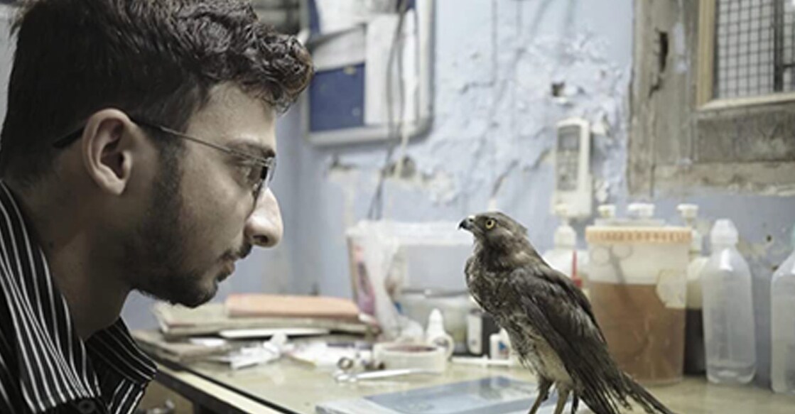 A still from 'All That Breathes' by Shaunak Sen. Photo: Imdb