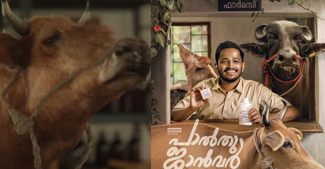 A video still from ‘Palthu Janwar’ starring Basil Joseph