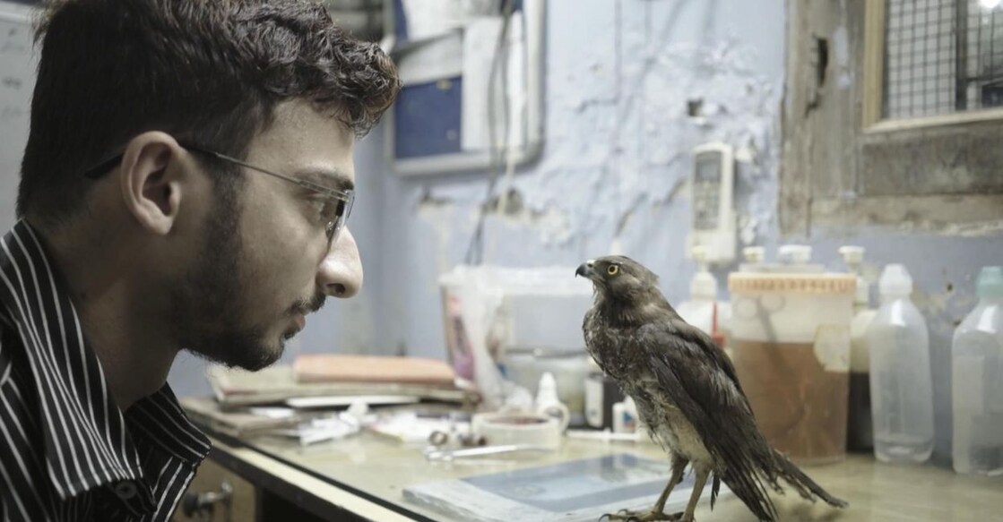 A still from the Shaunak Sen documentary 'All That Breathes'. 