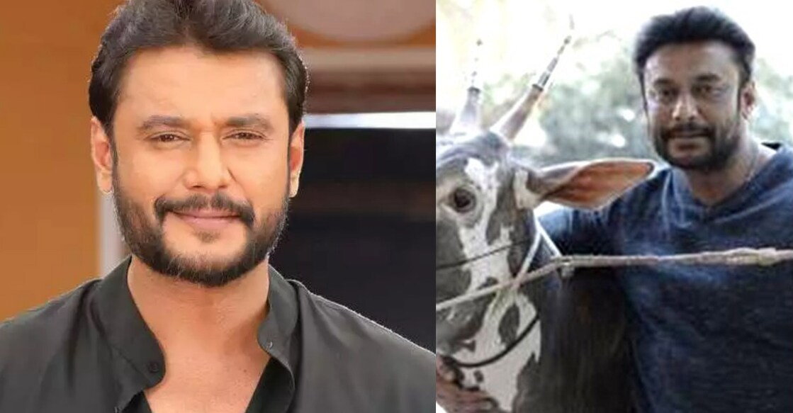 The sleuths conducted raids following Darshan's statement in an interview that he has these rare migratory birds at his farmhouse. Photos: Twitter | IANS