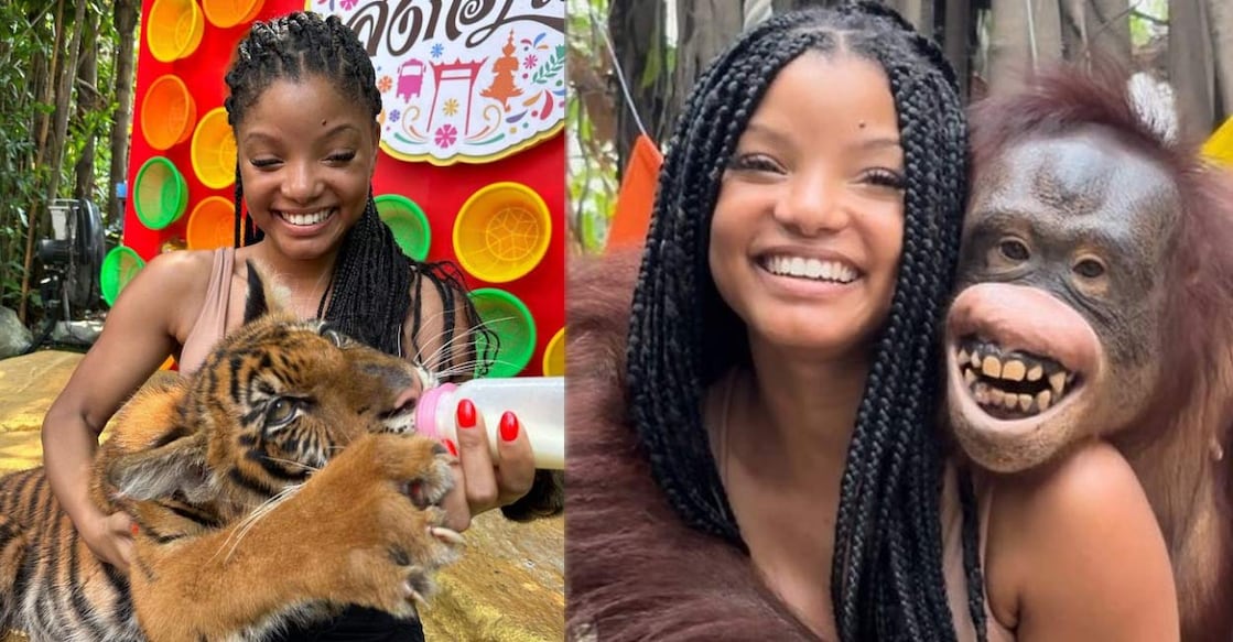 The actress was seen posing with an orangutan and a tiger cub. Photo: Instagram | @hallebailey