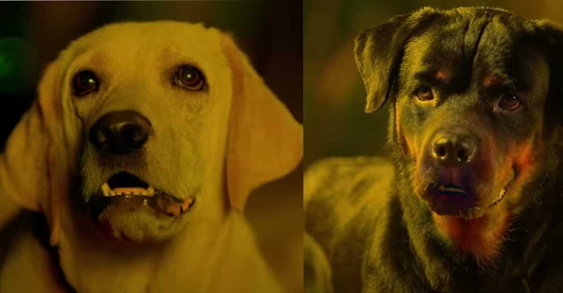 According to Director Devan, it took a long two years to train the dogs and the rooster. Photo: Manorama