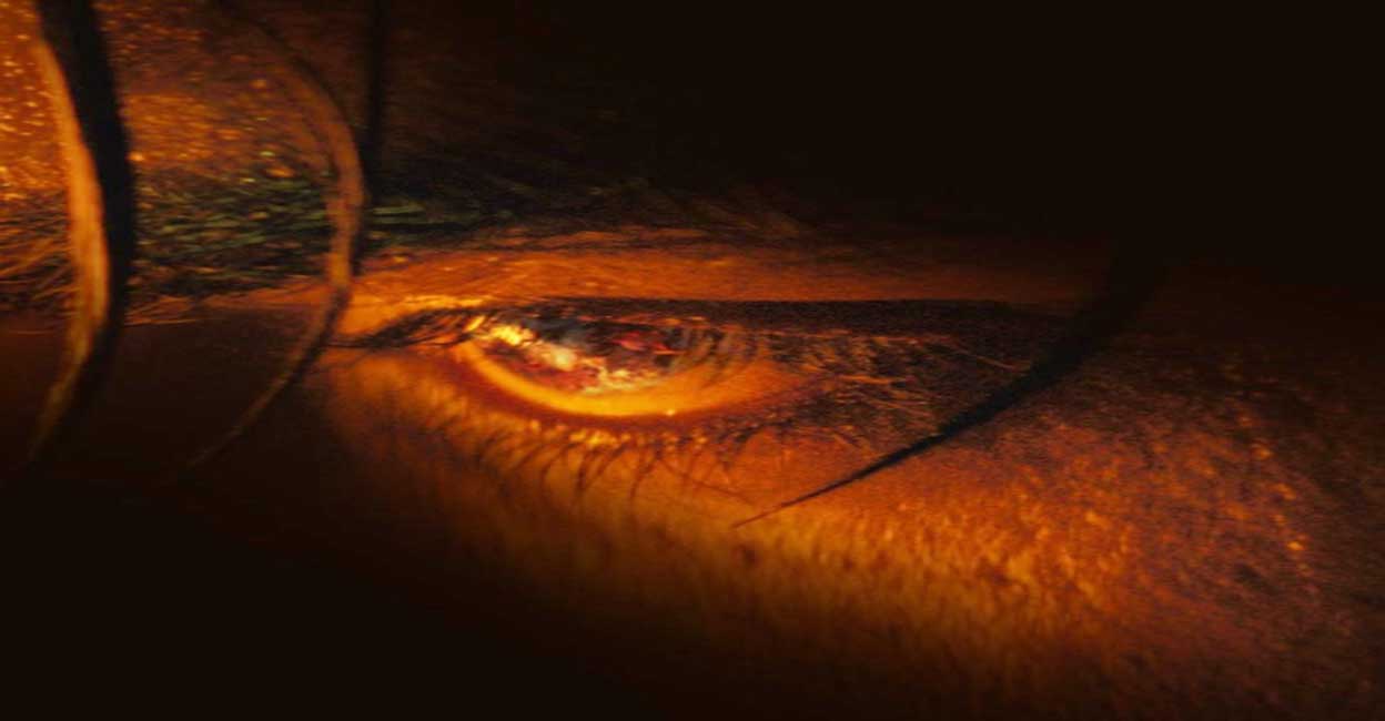Jawan Object Shah Rukh Khan's 'Jawan' unveils intense poster featuring Vijay ...