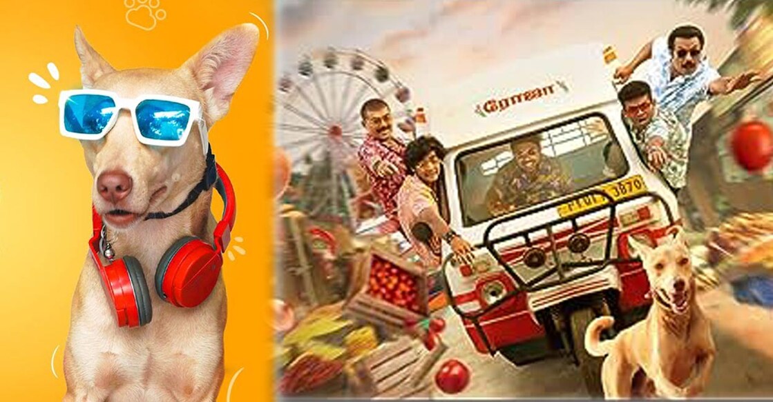 As per reports, the film minted Rs 10 crores in theatres. Photos: Imdb | Motion poster