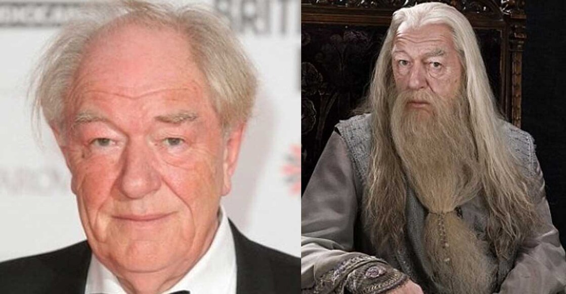 Sir Michael Gambon. Photo: Instagram