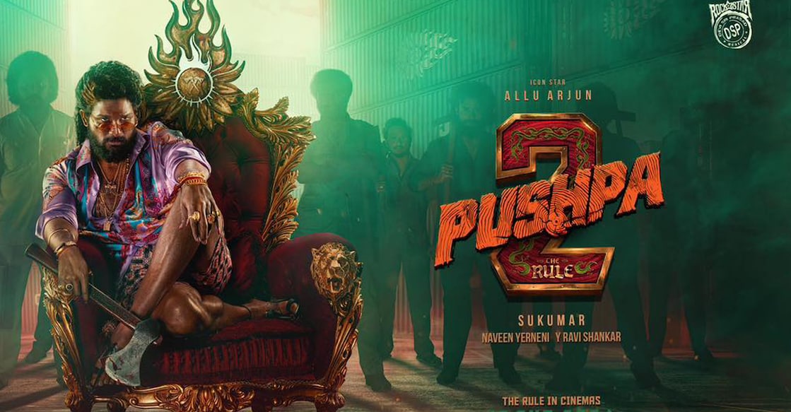'Pushpa 2' poster. Photo: IMDb