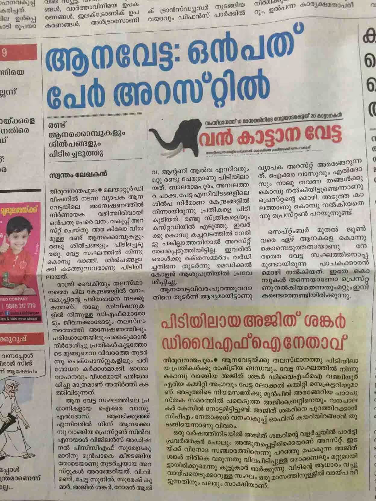 elephant-news