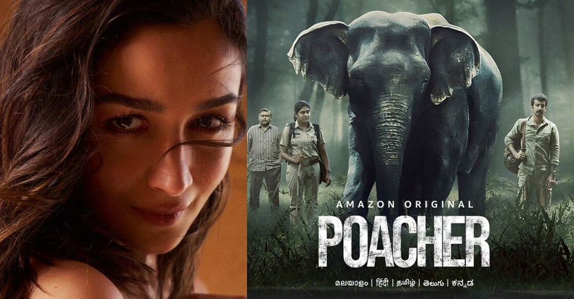 Alia said Mehta's portrayal of the urgent issue of wildlife crime resonated strongly with her.  Photo | Instagram (aliaabhatt)