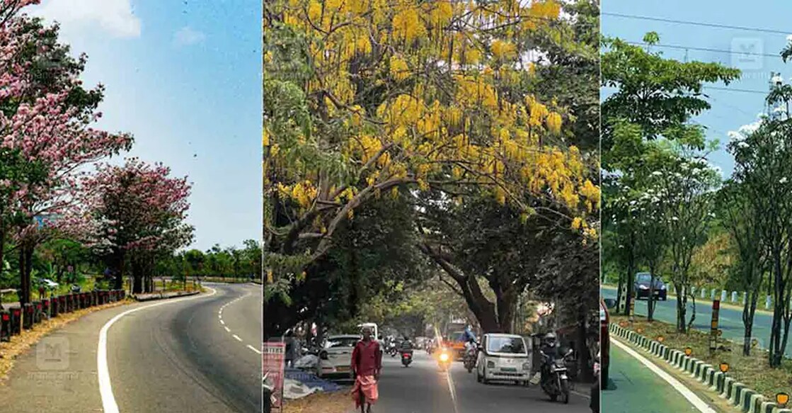 Various places in Kochi. Photo: Manorama/E V Sreekumar