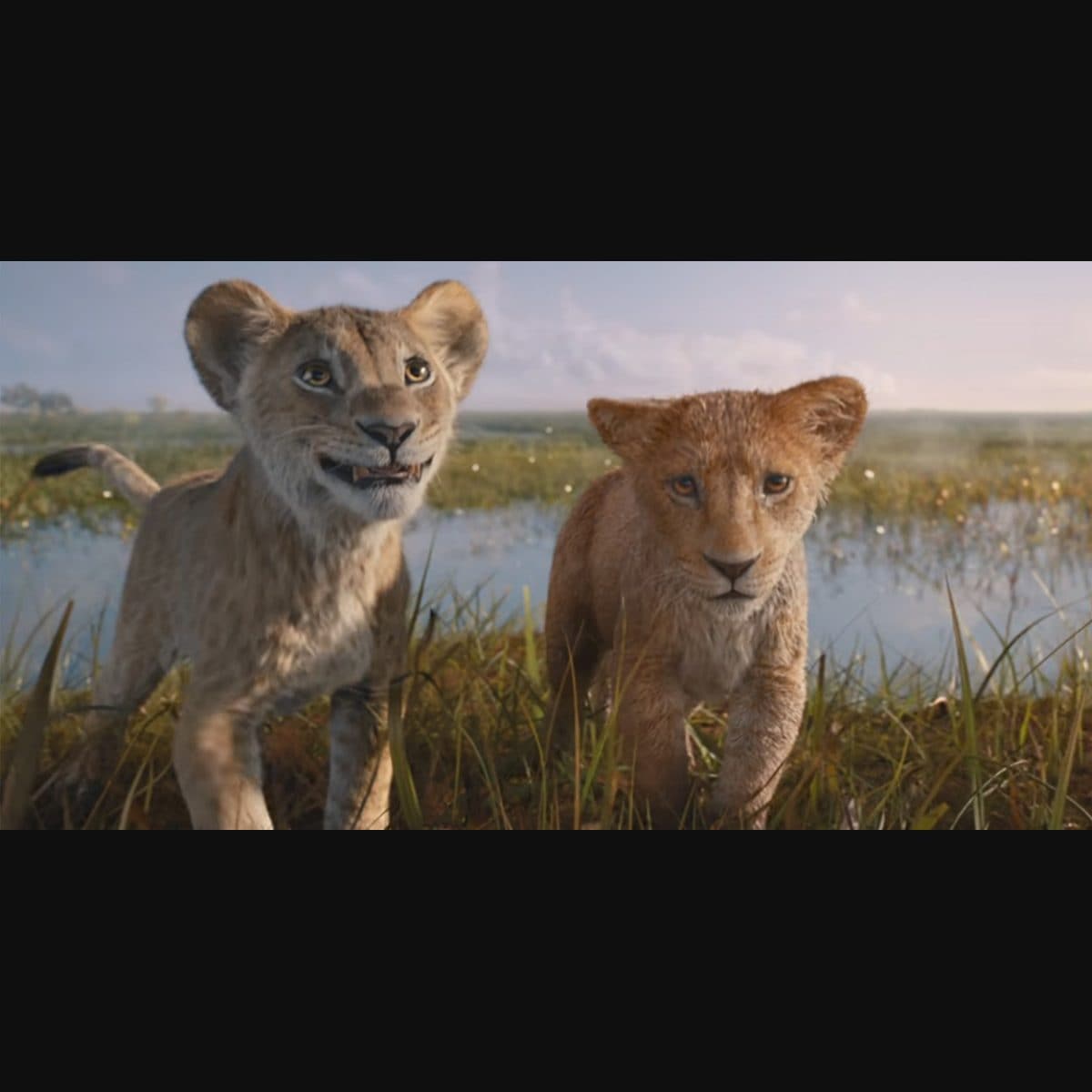 Mufasa: The Lion King' trailer drops, revealing the untold story of Mufasa  and Scar | Onmanorama, image size:1200x1200