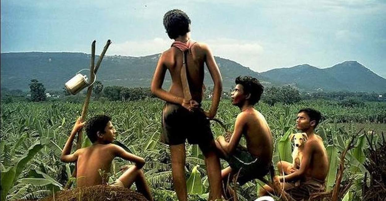 'Vaazhai' hit theatres in Tamil Nadu last week. Photo: Imdb