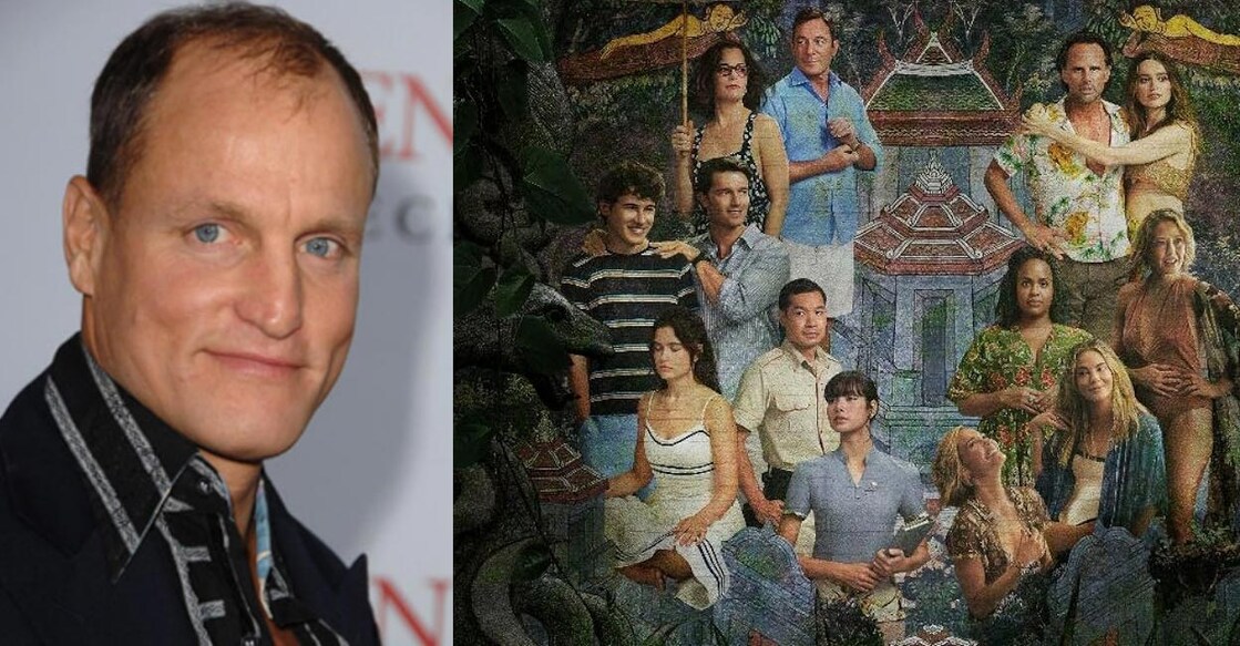 'True Detective' star Woody Harrelson. Photo: Imdb