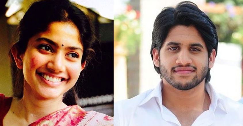 sai-pallavi-naga-chaitanya