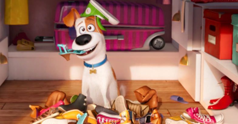 The Secret Life of Pets': Simple, funny and entertaining | The Secret Life  of Pets | Movie Review | Film Review | Cinema Review