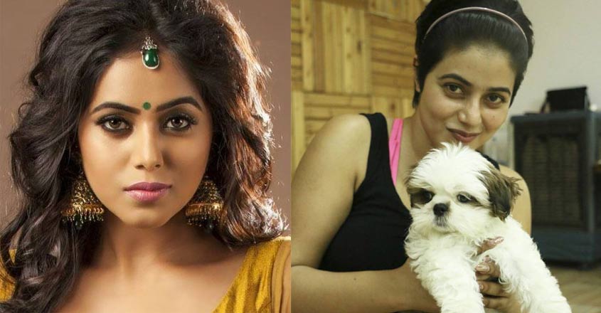 There was a time when I quit movies: Shamna Kasim reveals tough phase in career There was a time when I quit movies: Shamna Kasim reveals tough phase in career