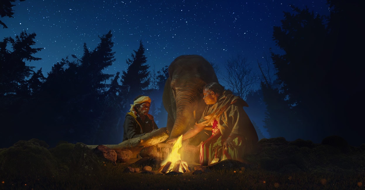 elephant-three elephant-three