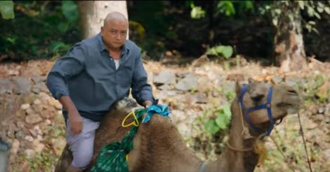 'Panchavarnathatha' review: an aimless flutter of emotions