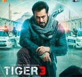 'Tiger 3' review: Salman Khan and Katrina's spy film is a decent watch but lacks charisma