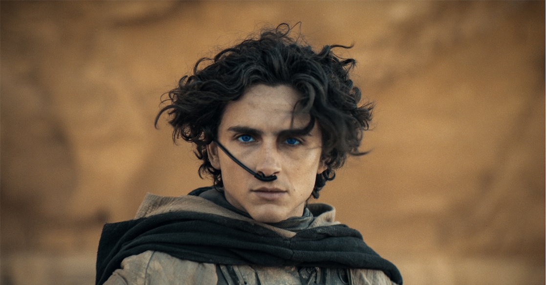 Timothée Chalamet in Dune 2. Photo: IMDb