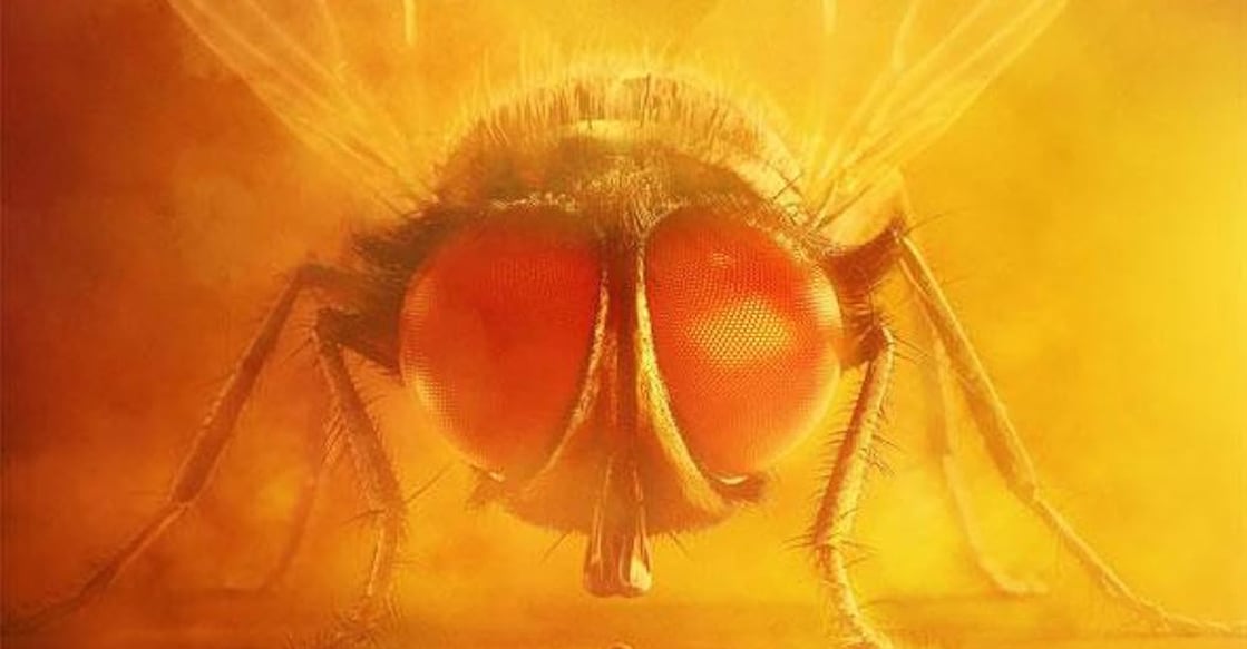 'Lovely' movie poster. Photo: Imdb