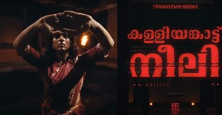 Thaikkudam Bridge's ‘Neeli’ is a celebration of the free spirit called Woman | Watch the video