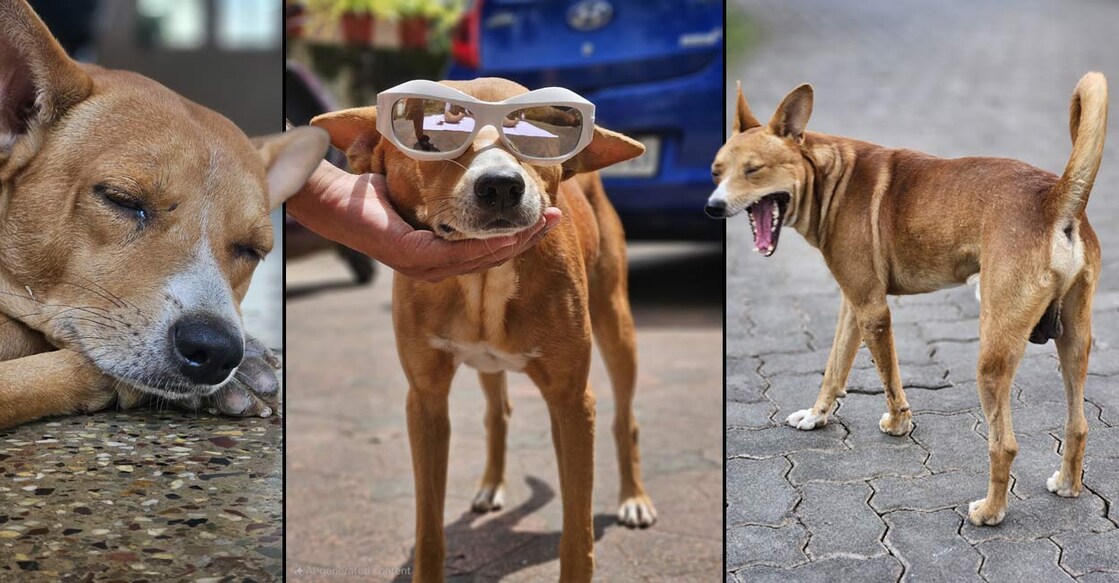 Sabu Patty isn’t just an artist; he’s got style and attitude. Photo: Special Arrangement